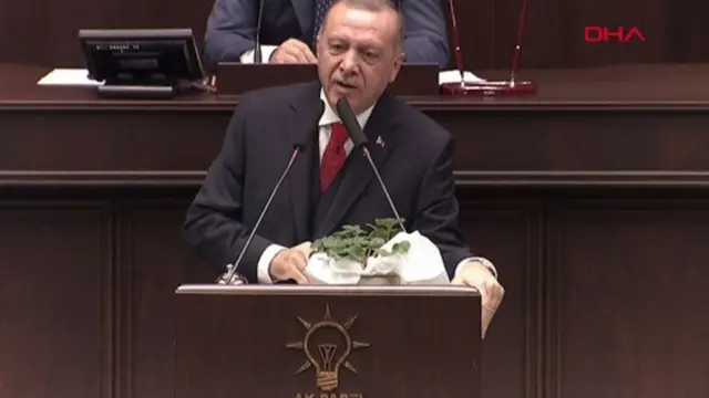 Cumhurbaşkanı Recep Tayyip Erdoğan