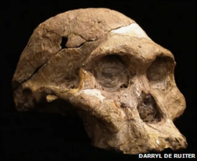 குகைவாழ் பெண்ணின் புதைபடிம எச்சம்