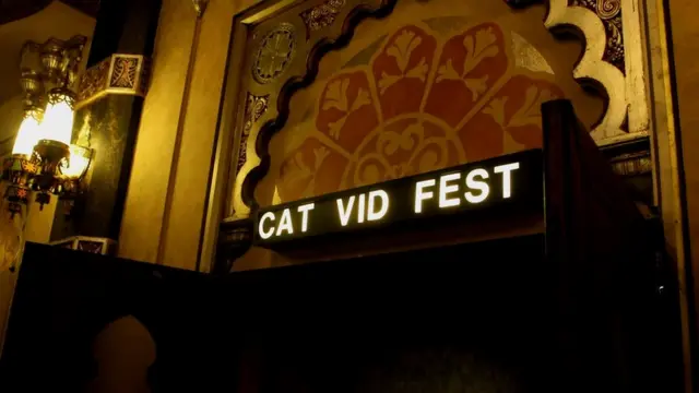 Cat Vid fest sign above the door of the main movie theatre