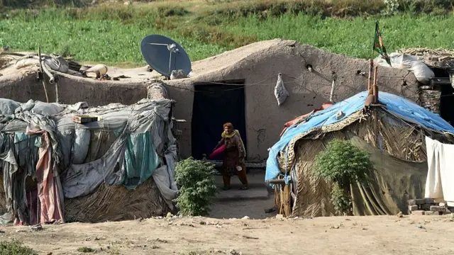 بی آئی ایس پی