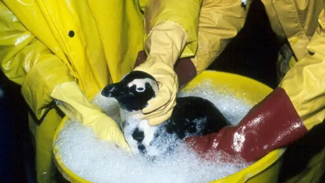 عملية غسل بطريق