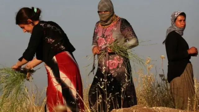 મુસ્લિમ મહિલાની પ્રતિકાત્મક તસવીર