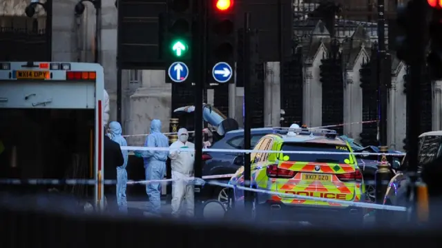 Los investigadores forenses analizaron el automóvil que se estampó contra las barandillas de la sede del Parlamento.