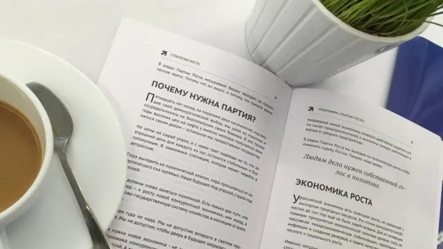 Программа партии