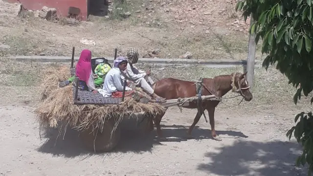 सीमा पर गोलाबारी