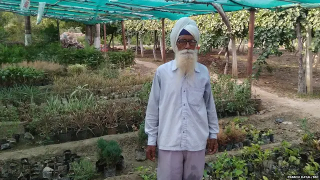 ਸੱਚ ਨਰਸਰੀ, ਸਿਰਸਾ