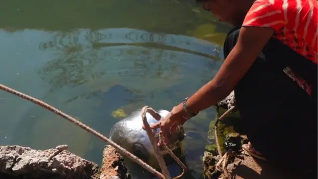 પાણી પાછળ મહિલાઓનો ખૂબ સમય વેડફાય છે.