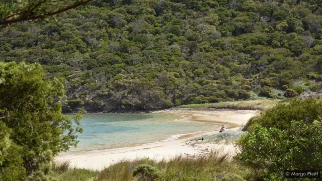 Ilhabetspeed super oddsLord Howe