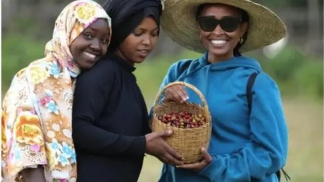 Kumee Caalchisaa, asheeta bunaa qabattee