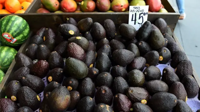 Estados Unidos compra el 85% de la producción de aguacate de México.
