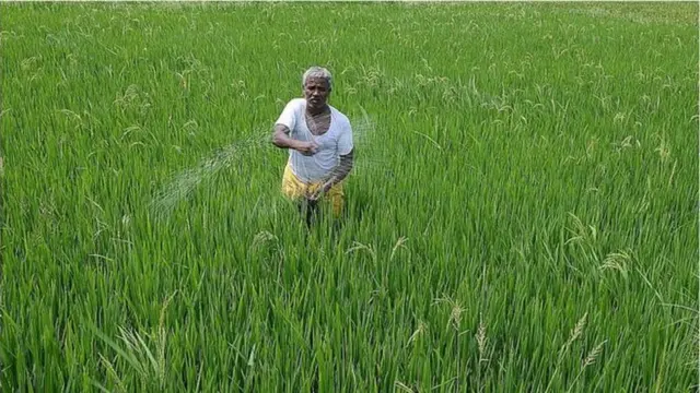 వ్యవసాయం