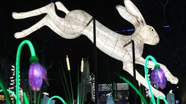 Световая инсталляция под названием "Ночная жизнь"