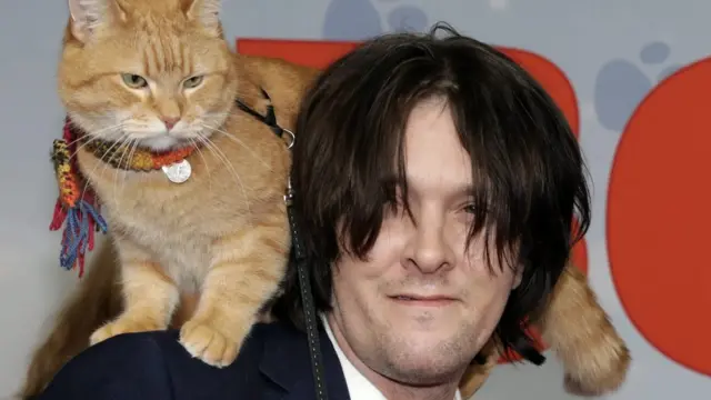 Письменник Джеймс Бовен і його кіт Боб