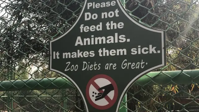 चिड़ियाघर, रांची