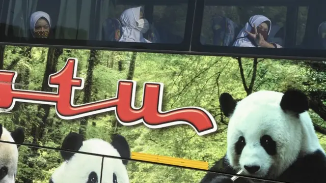 bus, angkutan umum, virus corona