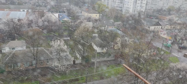 Снігопад у Черкасах