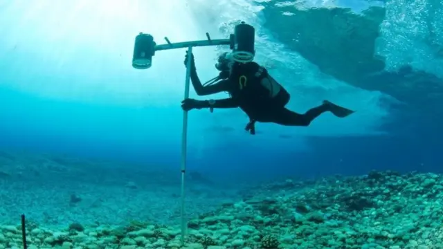 تضمنت صفقة الديون في مقابل الحفاظ على الطبيعة رسم خرائط لقيعان المحيطات حول سيشل لتحديد المناطق الأكثر ثراء بالتنوع الحيوي