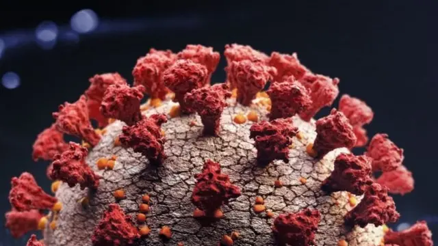 कोरोना, केरळ, मृत्यूदर