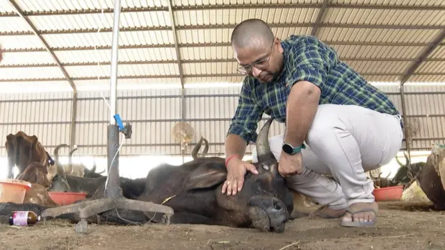 જગદીશ સોલંકી: "અમારી પાસે હાલમાં 9000 ગાયો છે, અને તેમને દરરોજ એક ટન ઘાસચારો જોઇએ. હાલમાં અમારી ગૌશાળા માથે અઢી કરોડ રૂપિયાનું દેવું થઇ ગયું છે. આ તમામ દેવું ઘાસચારાનું જ છે."