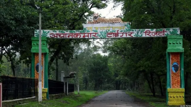 અચાનકમાર વાઘ અભ્યારણ્ય