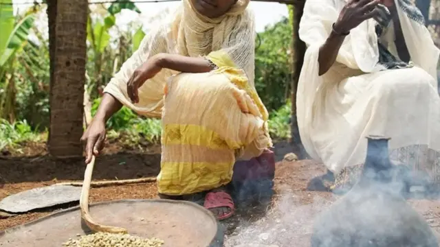 تعد منطقة كافا مهد البن العربي "أرابيكا" البري وموطنه الروحي.