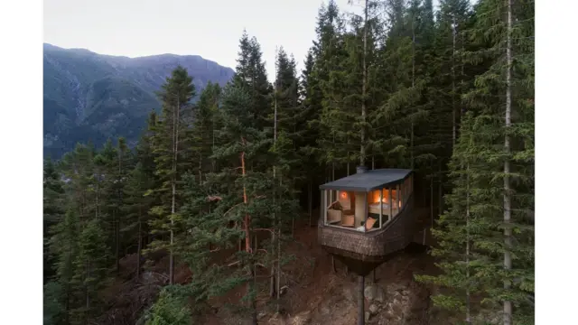 Delapan rumah hutan terbaik di dunia.