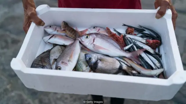 sampah, plastik, makanan laut, seafood, ikan