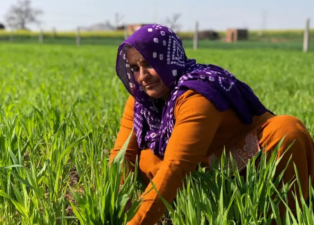 వినేశ్ తల్లి ఒకప్పుడు పొలాల్లో పనిచేసేవారు