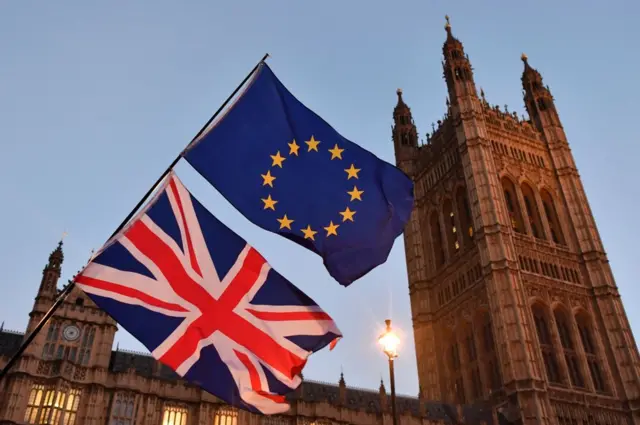 బ్రిటన్ పార్లమెంటు వెలుపల ఈయూ అనుకూల ప్రదర్శకులు ప్రదర్శించిన ఈయూ, బ్రిటన్ పతాకాలు