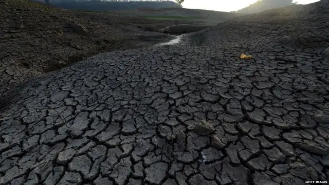 वर्ल्ड वॉटर डे