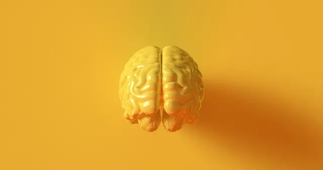 مرد یا عورت