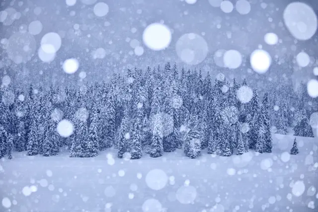 In the Silence by Cristiana Damiano