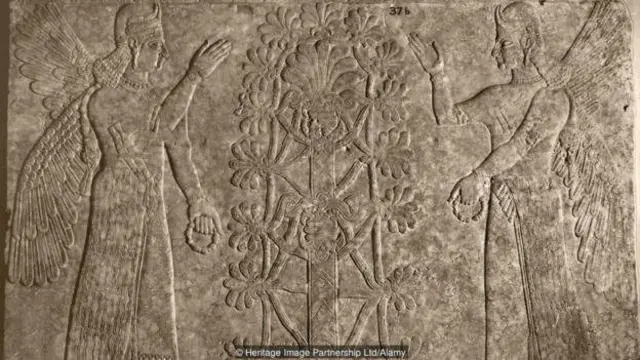 Ağaclar həmişə emblem rolunu oynayıb