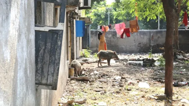 પોલીસ લાઇન