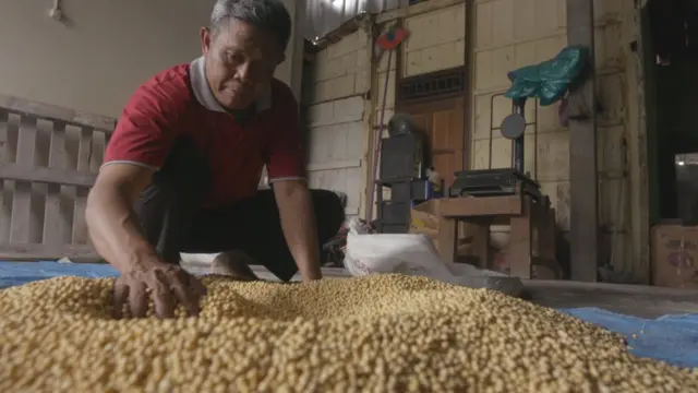 Ali Mohtar mengolah kedelai