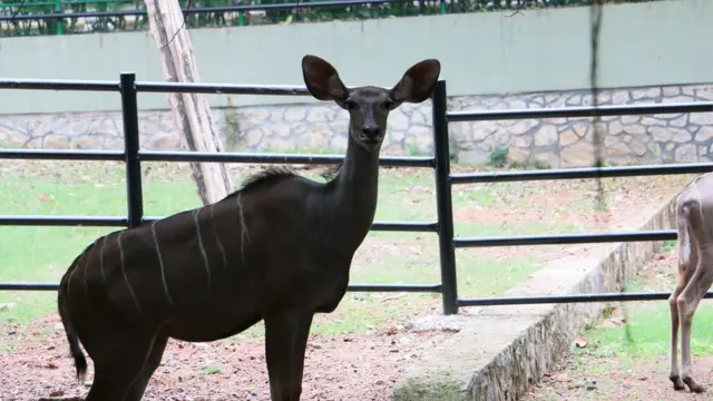 Dehiwala Zoo