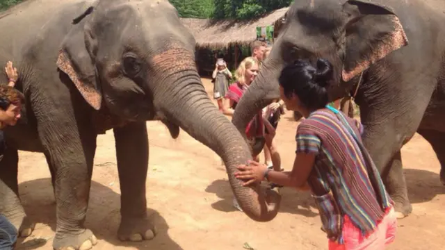 фото со слонами