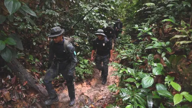 В поисках Норы принимали участие сотни спасателей