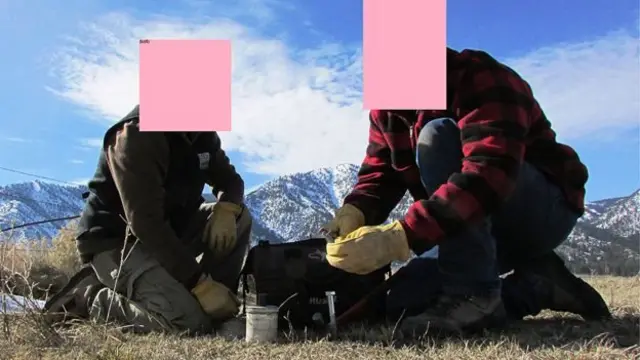 விலங்குகளை சயனைடு வைத்து கொல்ல அமெரிக்கா அனுமதி - வலுக்கும் எதிர்ப்பு