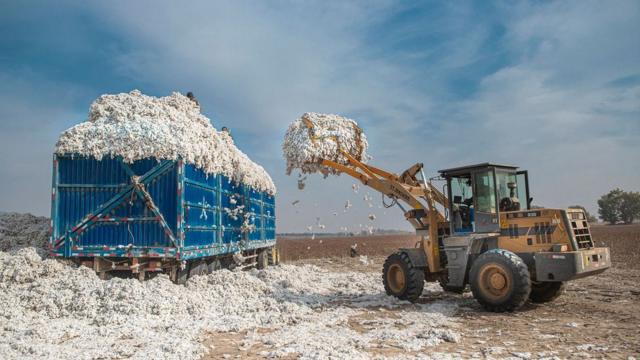 Produçãobetfair minimo saquealgodão na China