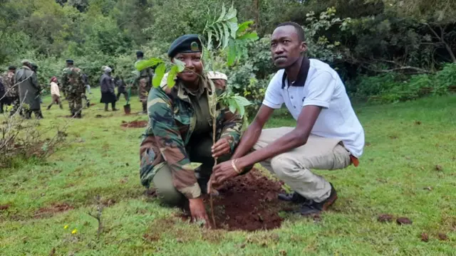 Ҳар бир кениялик камида икки кўчат ўтқазсин демоқда Кения ҳукумати