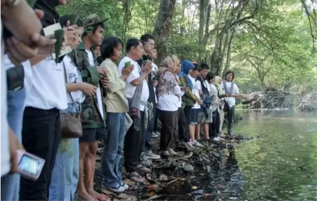 థాయ్ ఏనుగుల మృతి