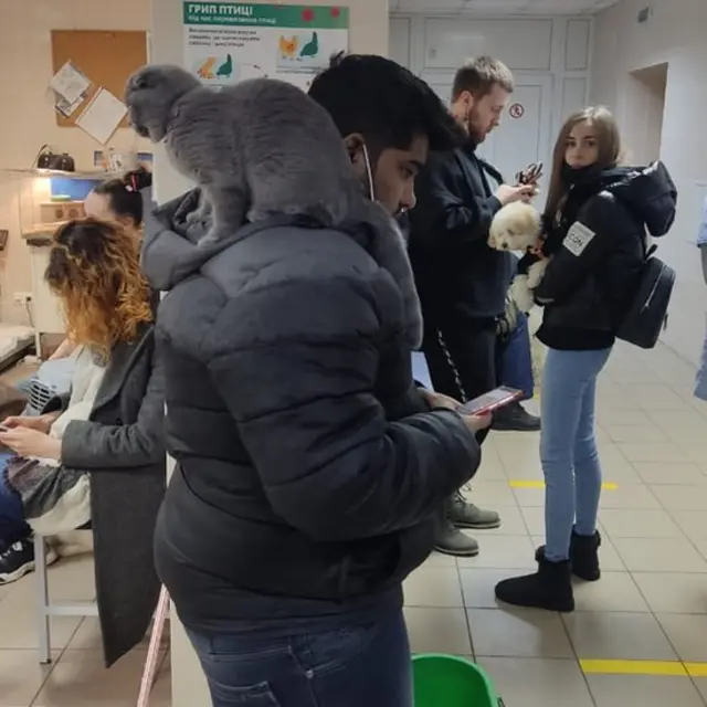 யுக்ரேன் மருத்துவ மாணவர் கவுதம் - பூனை