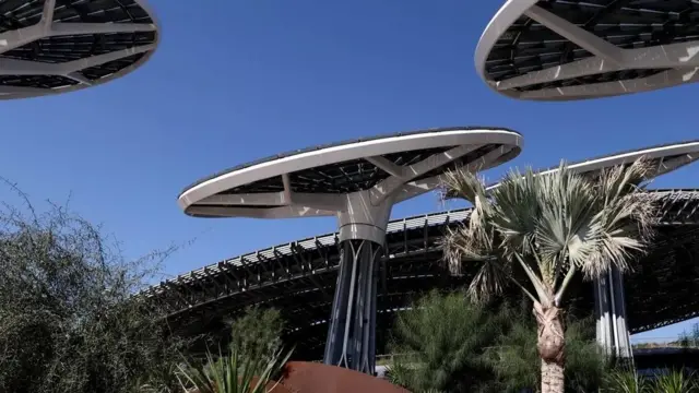 சோலார் மரம்