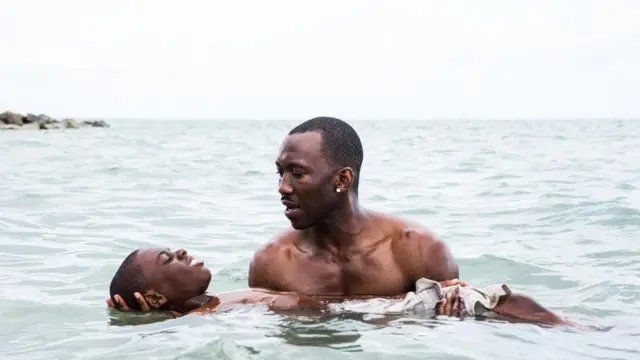 "Місячне сяйво"