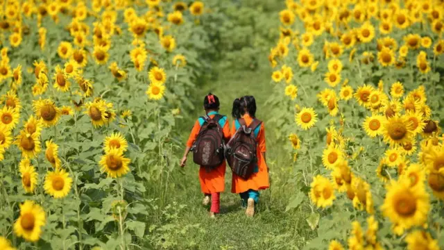 সূর্যমুখী বাগানে দুটি মেয়ে