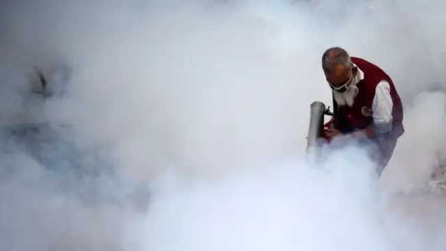 বাংলাদেশে মশক নিধন কর্মসূচির পরেও এক আতঙ্কের নাম এডিস মশা।