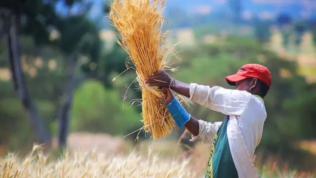 ኣብ ዓፂድ ዝወዓለ መንእሰይ