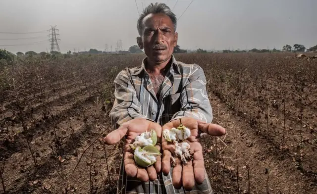 પાકનુકસાની