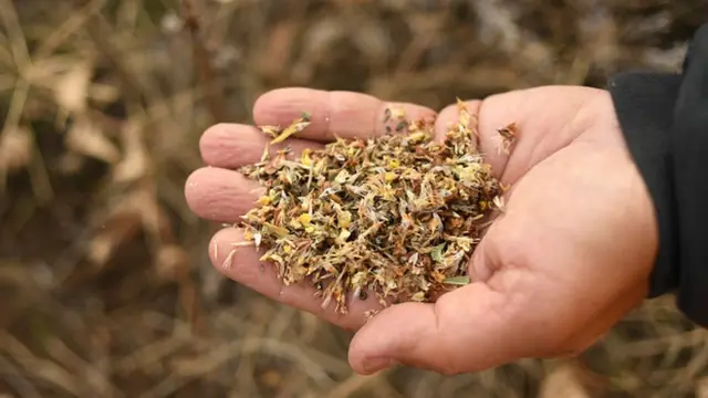 પ્રતિકાત્મક તસવીર